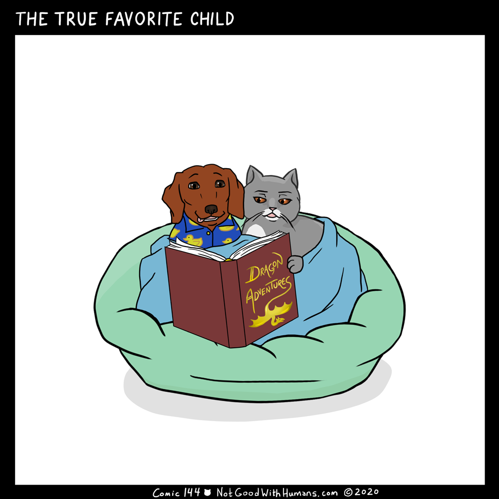 not good with humans notgoodwithhumans.com cat cats introvert introverts 