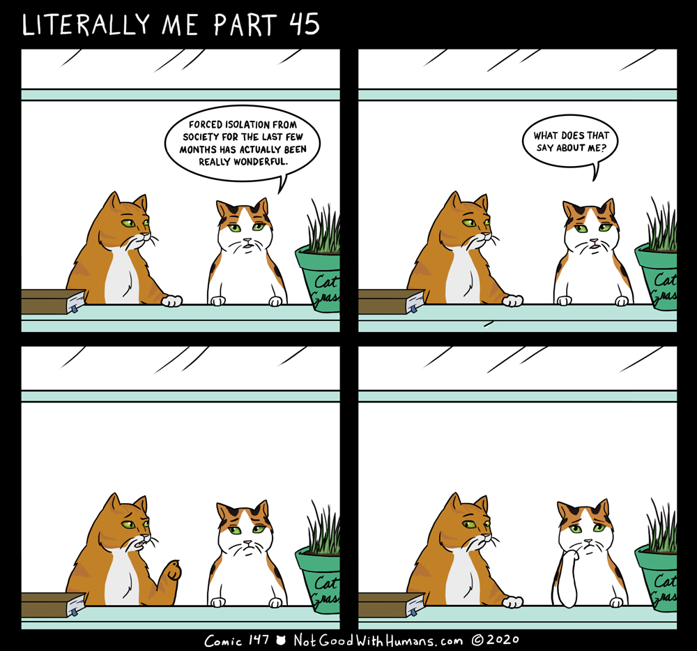 not good with humans notgoodwithhumans.com cat cats introvert introverts 