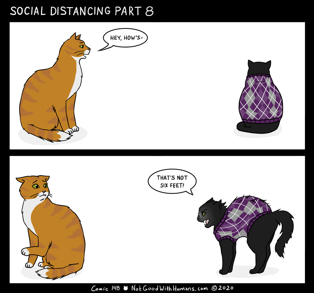 not good with humans notgoodwithhumans.com cat cats introvert introverts 