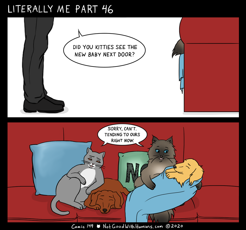 not good with humans notgoodwithhumans.com cat cats introvert introverts 