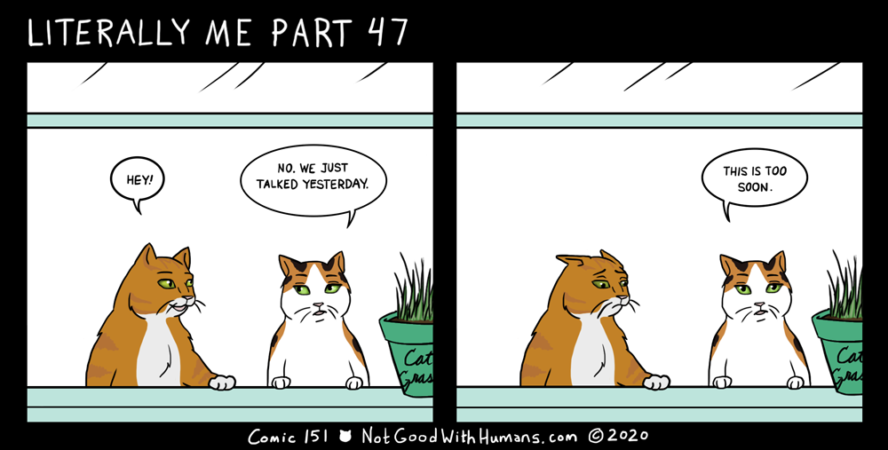 not good with humans notgoodwithhumans.com cat cats introvert introverts 