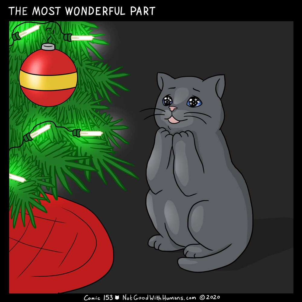 not good with humans notgoodwithhumans.com cat cats introvert introverts 