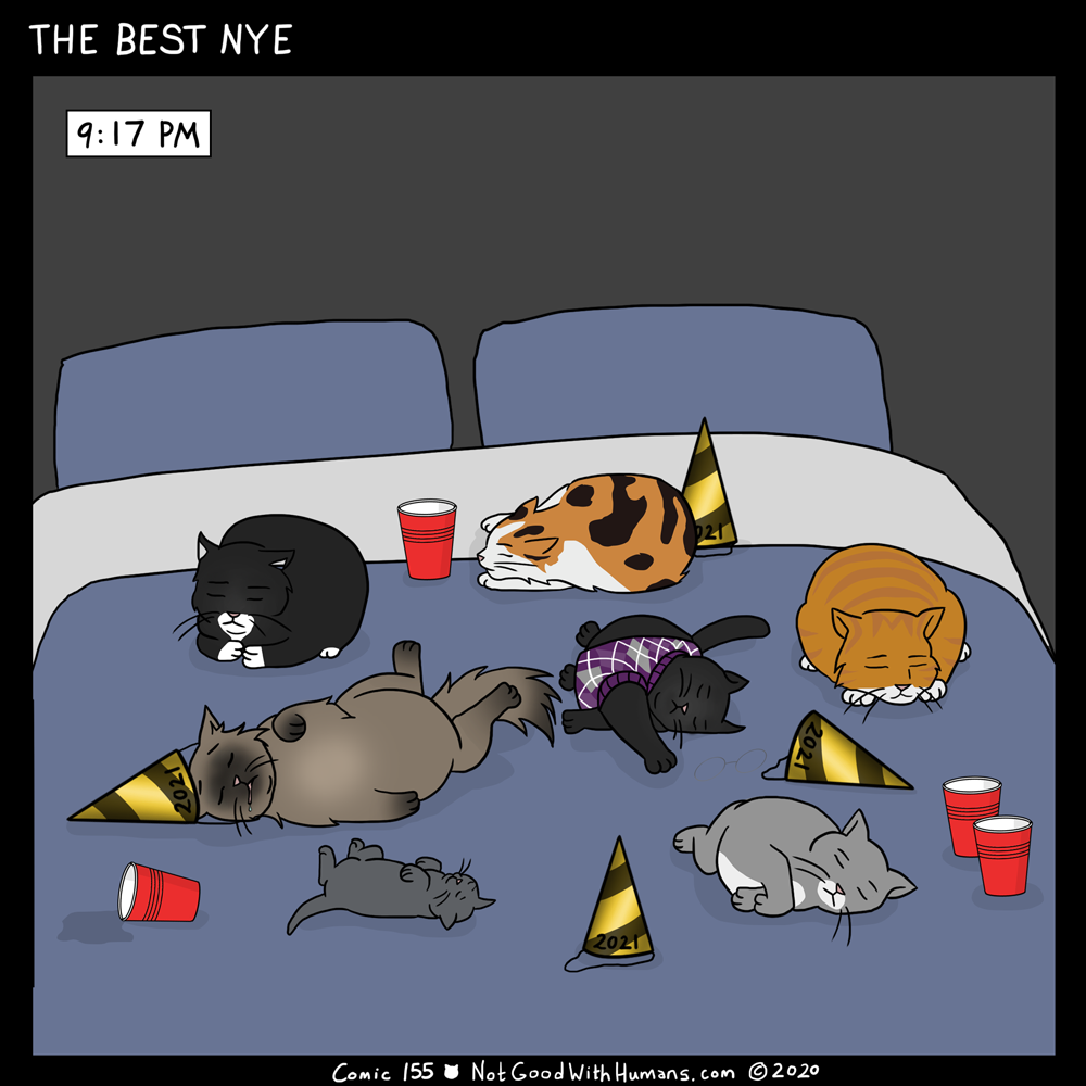 not good with humans notgoodwithhumans.com cat cats introvert introverts 