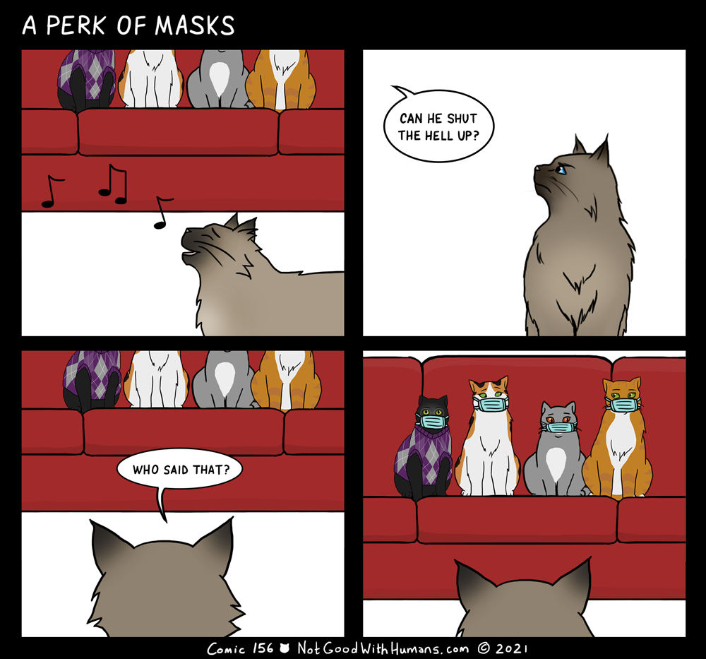 not good with humans notgoodwithhumans.com cat cats introvert introverts 