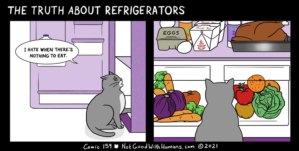 hungry kitties not good with humans introvert cat cats