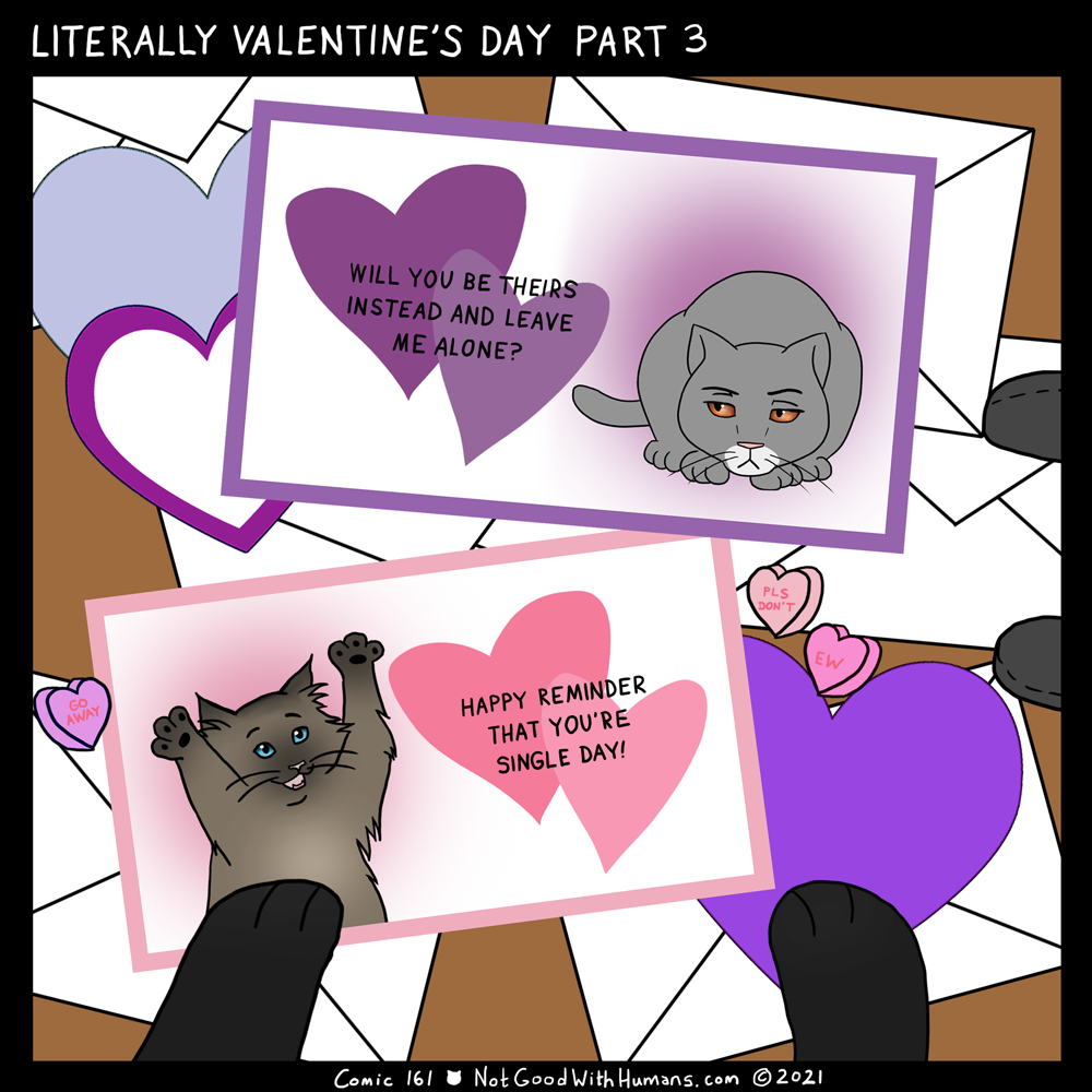 hungry kitties not good with humans introvert cat cats