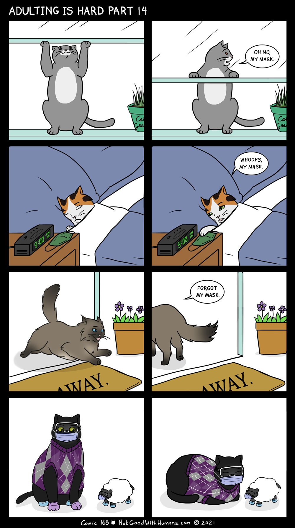 not good with humans introvert hungry kitties cat cats kitten